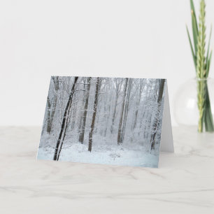 Tarjeta Bosque nevado de álamos blancos