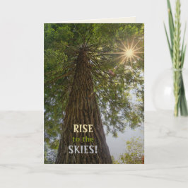 Tarjeta Bosque Pacífico con Foto de la Naturaleza de Luz D