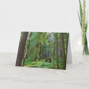 Tarjeta Bosque Primario