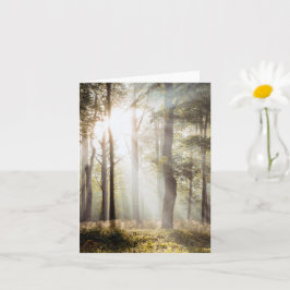 Tarjeta Bosque Sereno Iluminado por el Sol