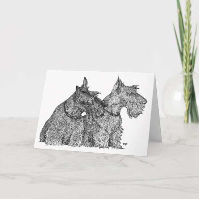 Tarjeta Bosquejo de curiosos terriers escoceses con pluma  (Anverso)