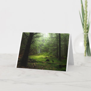 Tarjeta Bosques   Auvergne France