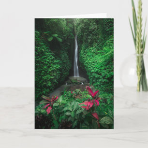 Tarjeta Bosques   Cascadas de Leke Leke en Bali