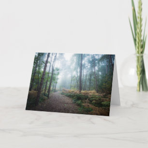 Tarjeta Bosques   Dark Foggy Woods Norfolk Reino Unido