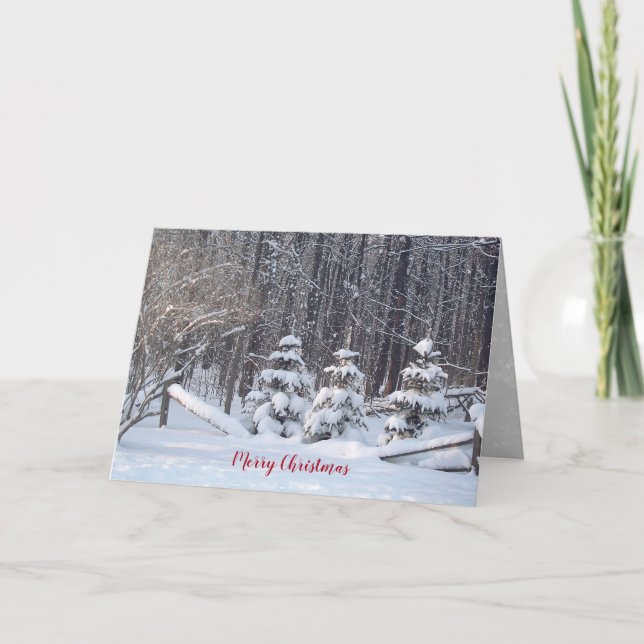 Tarjeta Bosques de invierno con pino (Anverso)