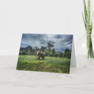 Tarjeta Bosques   Parque nacional Kao Sok