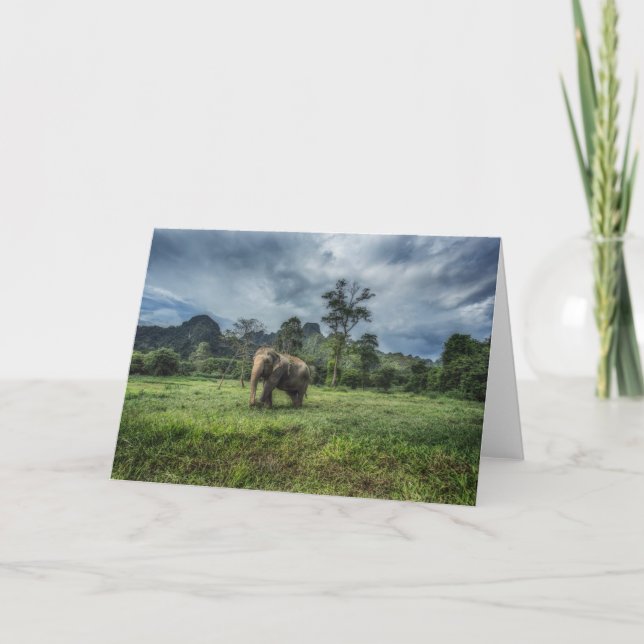 Tarjeta Bosques | Parque nacional Kao Sok (Anverso)