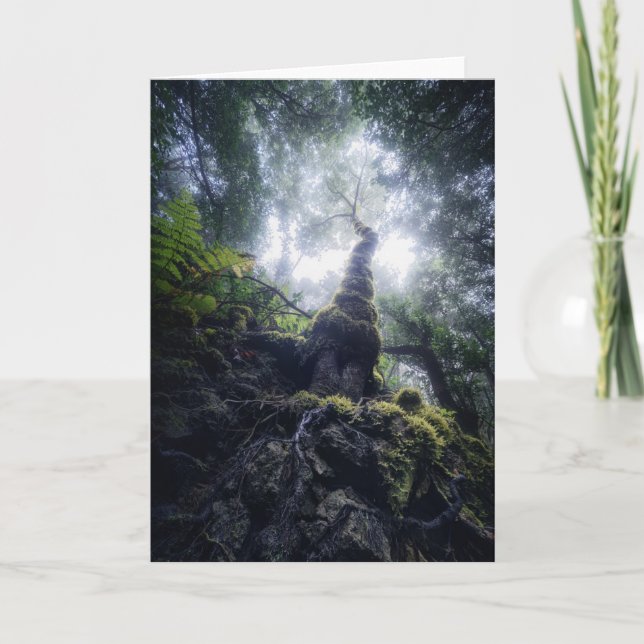 Tarjeta Bosques | Parque rural de Anaga Islas Canarias (Anverso)