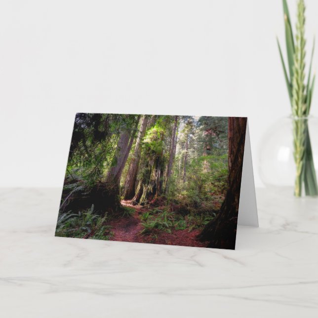Tarjeta Bosques | Redwood Forest California (Anverso)