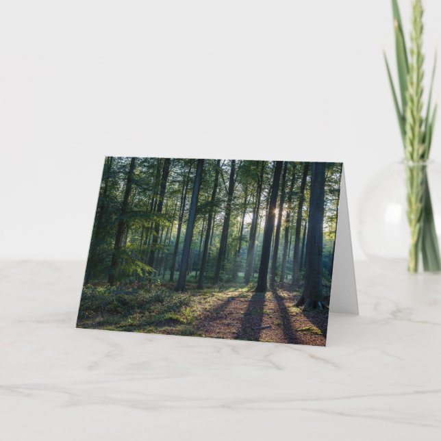 Tarjeta Bosques | Selva negra Alemania (Anverso)