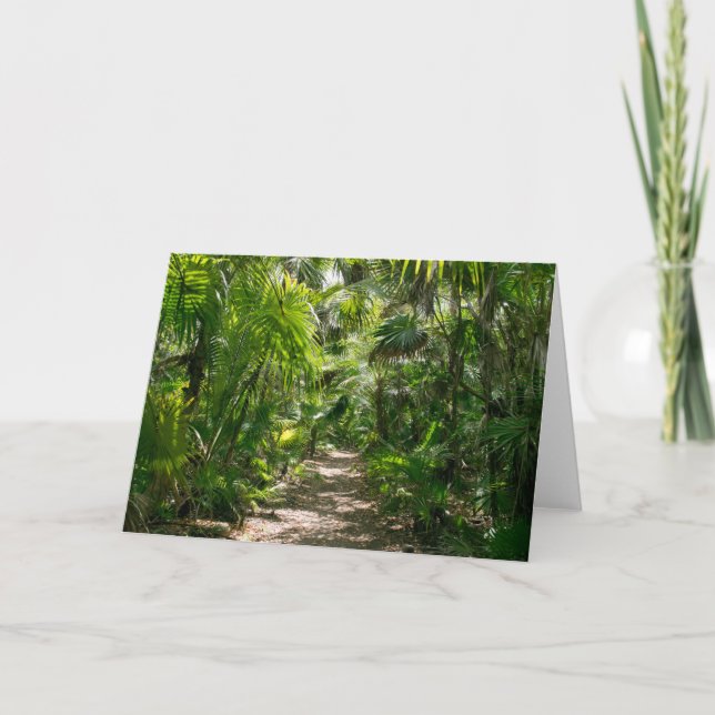 Tarjeta Bosques | Tropical Rainforest Tulum Mexico (Anverso)