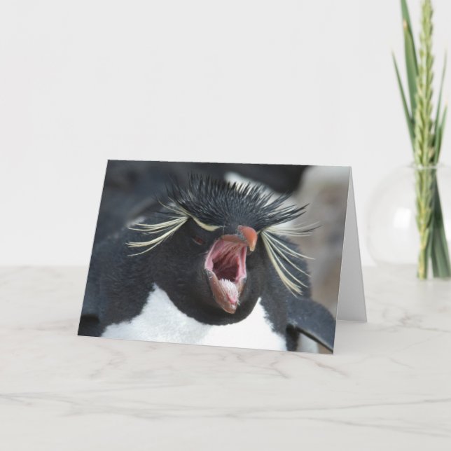 Tarjeta Bostezo de Rockhopper (Anverso)