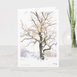 Tarjeta Boston Public Garden: añade tu saludo