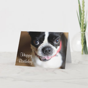 Tarjeta Boston Terrier