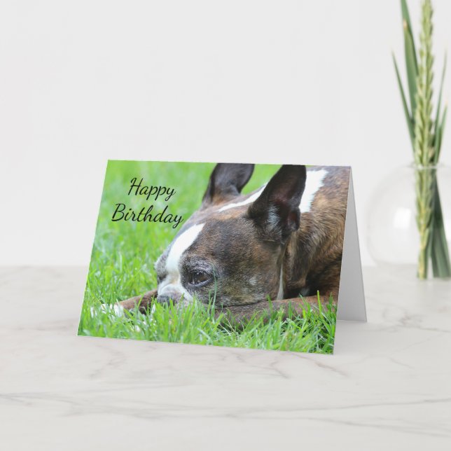 Tarjeta Boston Terrier (Anverso)