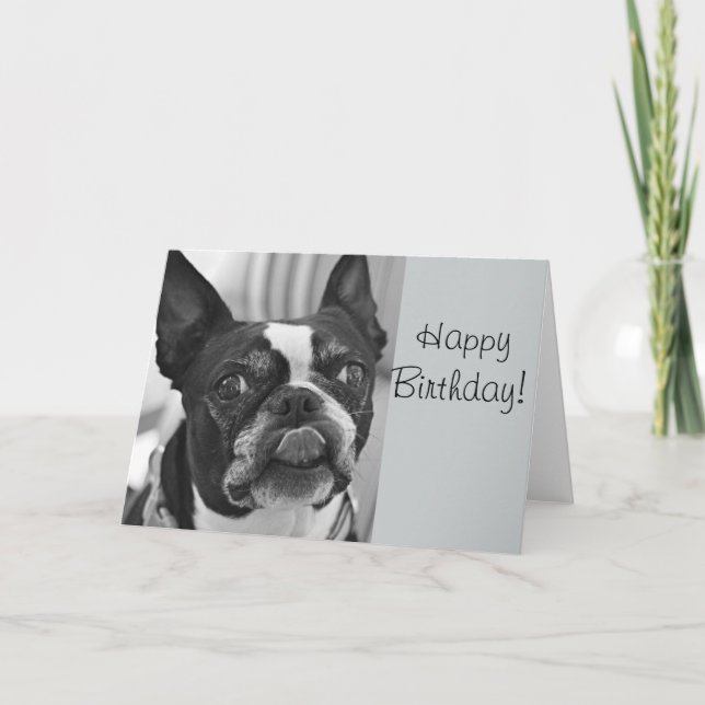 Tarjeta Boston terrier (Anverso)