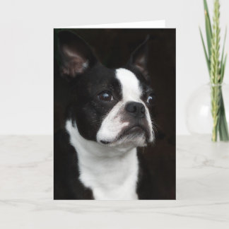 Tarjeta Boston Terrier