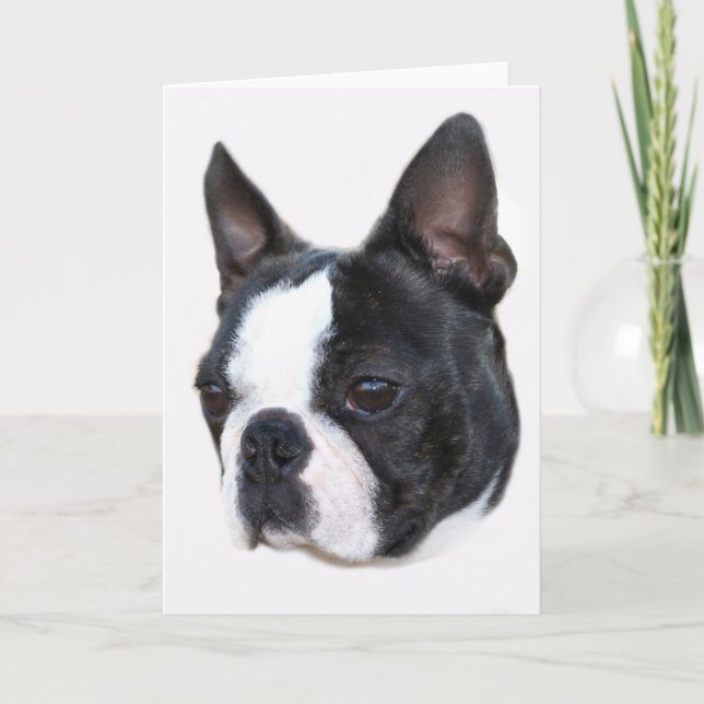 Tarjeta Boston Terrier (Anverso)