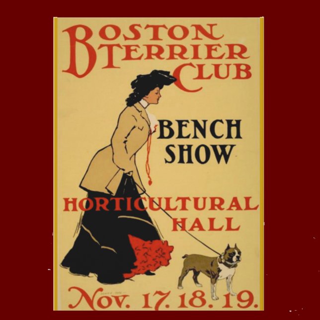 Tarjeta Boston Terrier Club (Subido por el creador)