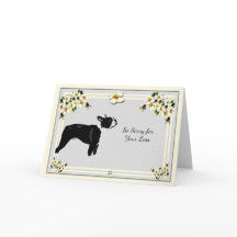 Boston Terrier con condolencia del Dogwood