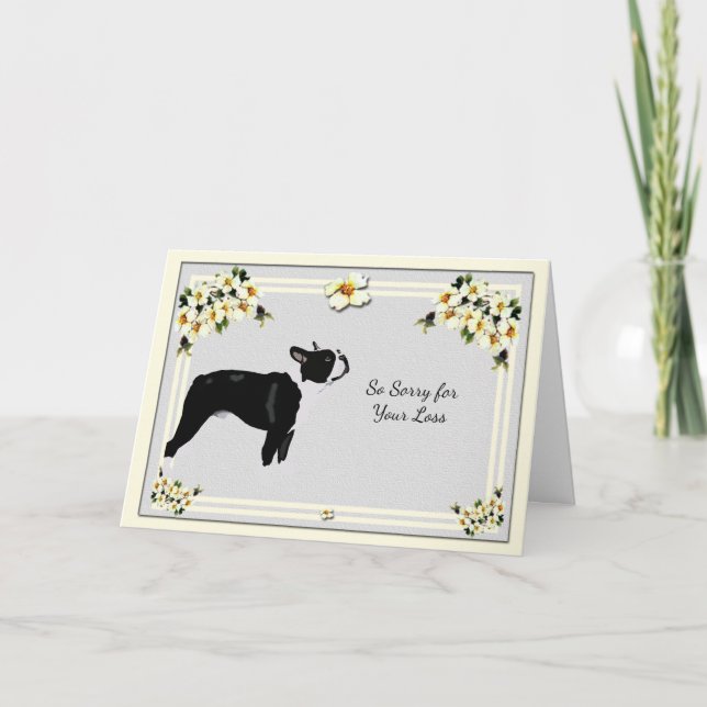 Tarjeta Boston Terrier con condolencia del Dogwood (Anverso)