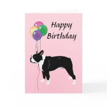 Boston Terrier con feliz cumpleaños de los globos