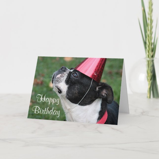 Tarjeta Boston terrier con un deseo de cumpleaños (Anverso)