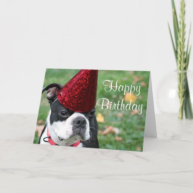 Tarjeta Boston terrier con un gorra de cumpleaños (Anverso)