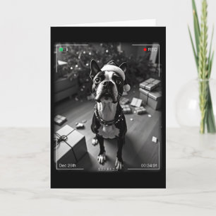 Tarjeta Boston Terrier de Navidad Captado por la Cámara