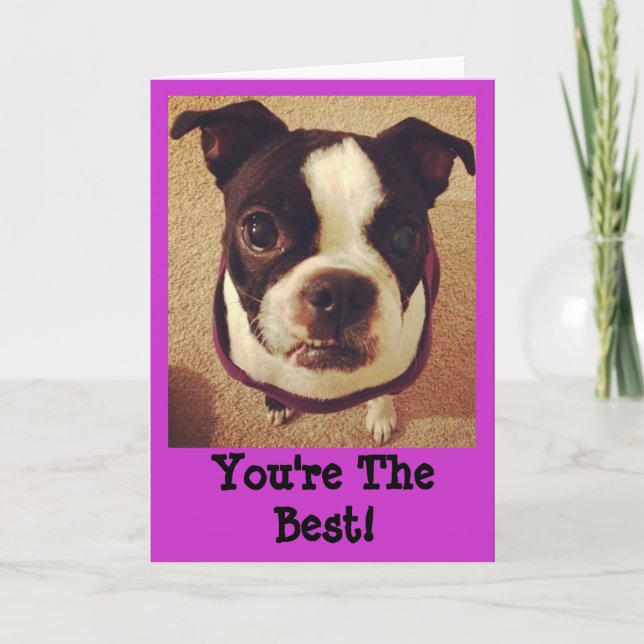 Tarjeta Boston Terrier Greeting Card (Anverso)