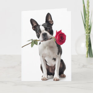 Tarjeta Boston Terrier San Valentín – Amor Elegante