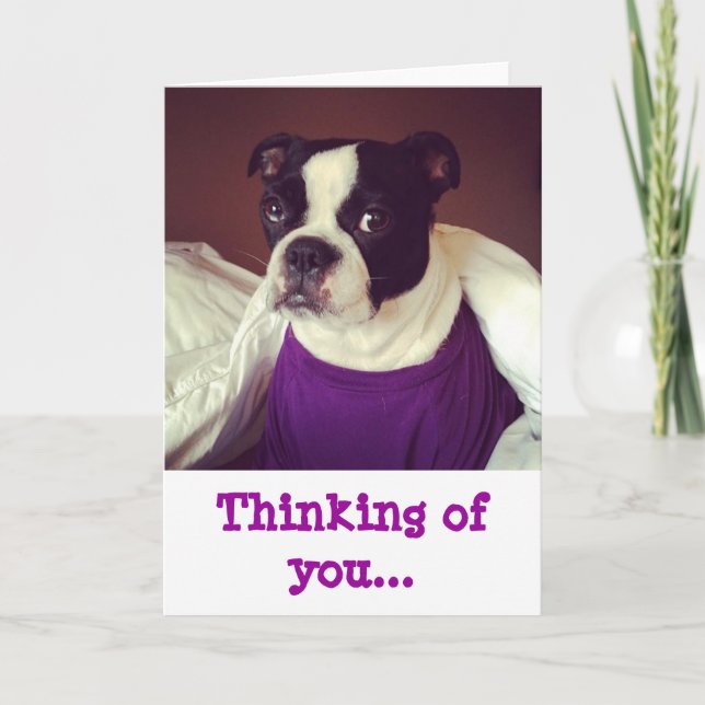 Tarjeta Boston Terrier-Thinking Of You (Anverso)