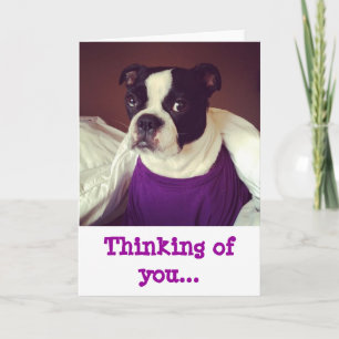 Tarjeta Boston Terrier-Thinking Of You