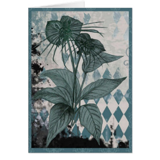 Tarjeta botánica de la planta verde azulada del