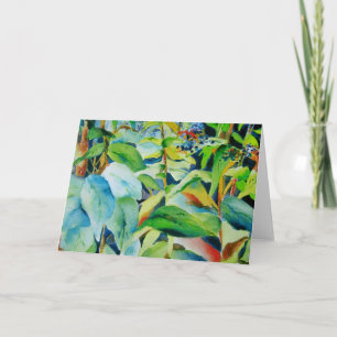 Tarjeta botánica en blanco