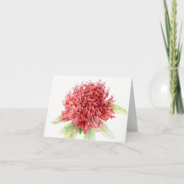 Tarjeta botánica floral roja del arte de la