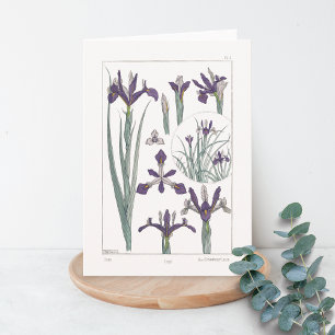 Tarjeta botánica Maurice Verneuil Blank Iris