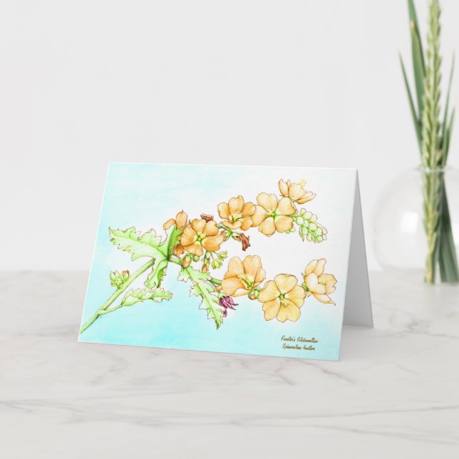 Tarjeta Botanical watercolor wildflower globemallow (Anverso)