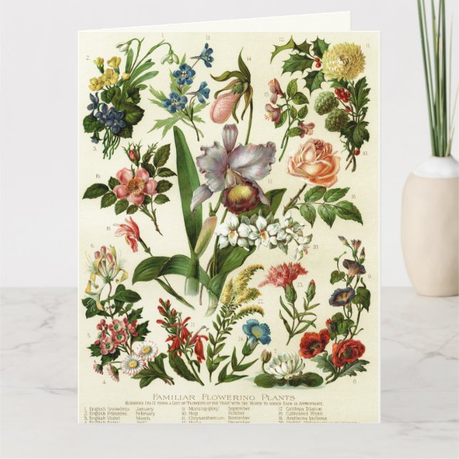 Tarjeta Botánicos de flores (Anverso)