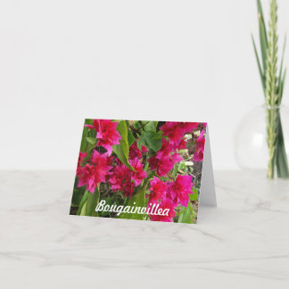 Tarjeta Bougainvillea Notecards