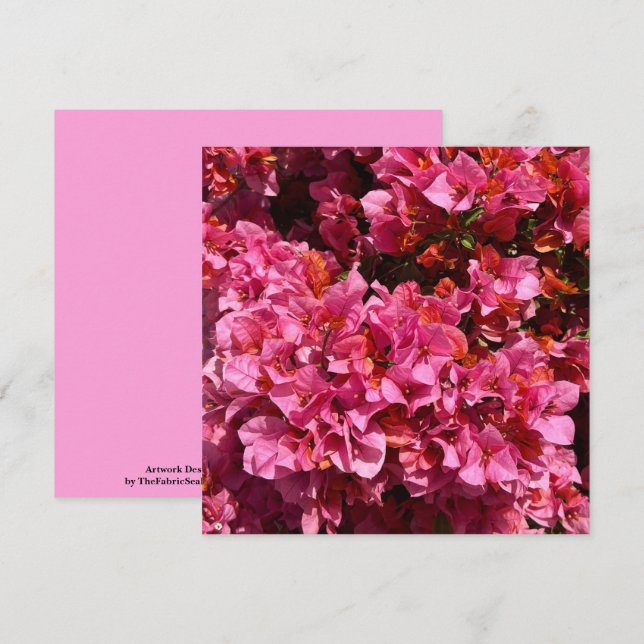 Tarjeta Bougainvillea Pink Tropical Vining Shrub Foto (Anverso / Reverso)