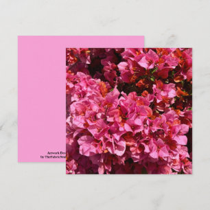 Tarjeta Bougainvillea Pink Tropical Vining Shrub Foto