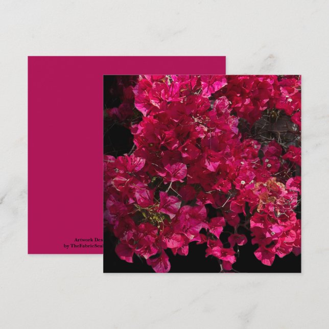 Tarjeta Bougainvillea Red Tropical Vining Shrub Foto (Anverso / Reverso)