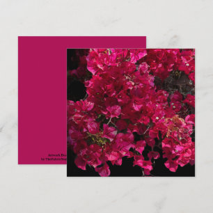 Tarjeta Bougainvillea Red Tropical Vining Shrub Foto