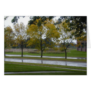 Tarjeta Boulevard brillante