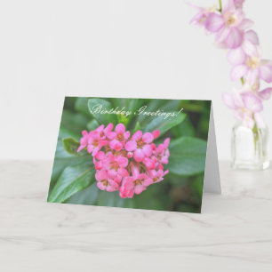 Tarjeta Bouquet de la Naturaleza de las Flores de Bestias 
