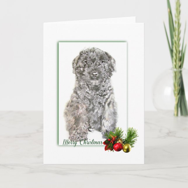 Tarjeta Bouvier des Flandes (Anverso)