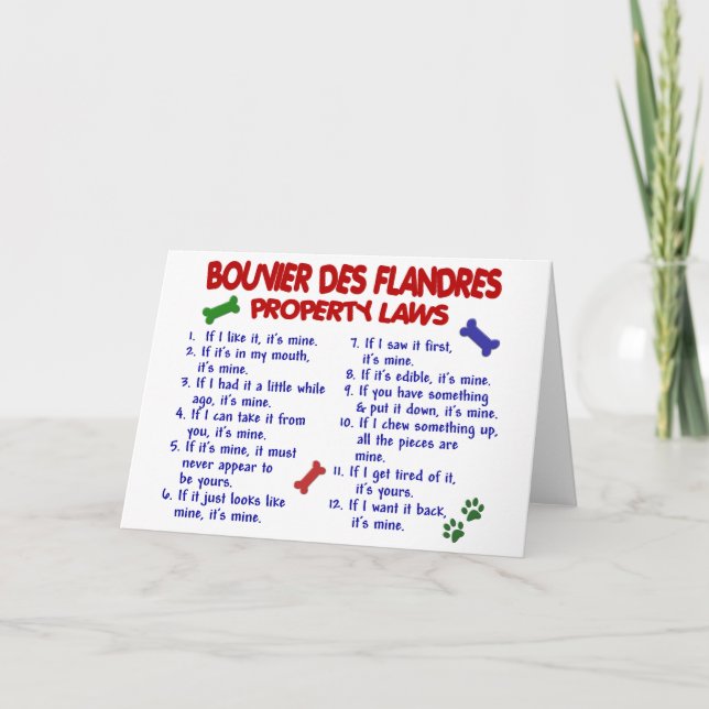 Tarjeta BOUVIER DES FLANDRES (Leyes de propiedad) 2 (Anverso)