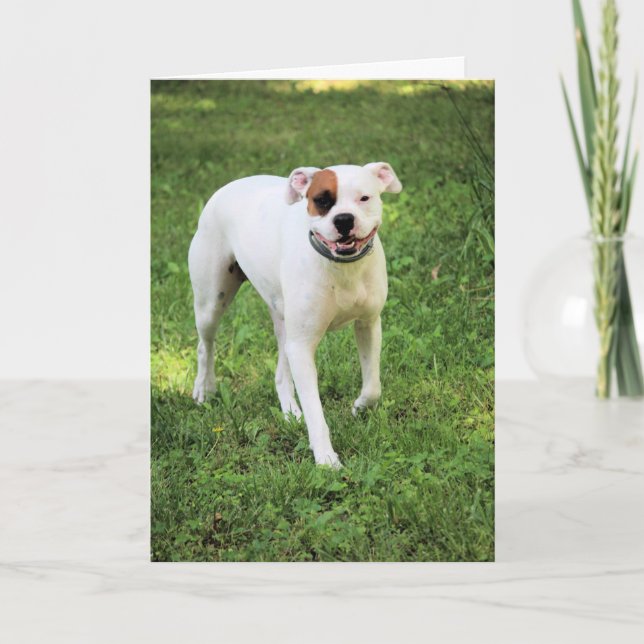 Tarjeta Boxeador (Anverso)