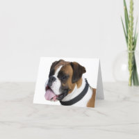 Boxeador Perro Círculo Blanco Notecard
